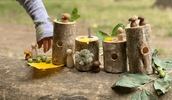 How to Connect Spring to the EYFS Curriculum