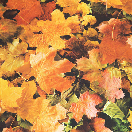 Nature Autumn Leaves Print Floor Cushion - SENsory Toys4U