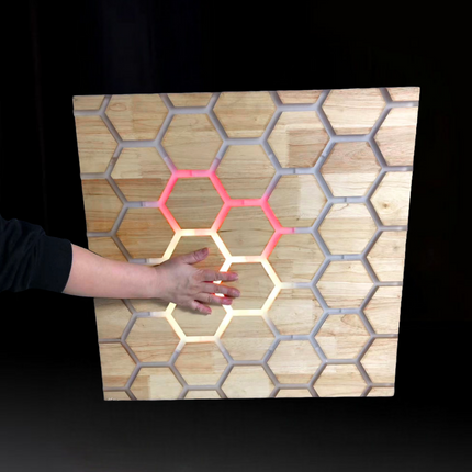 Touch Interactive Honeycomb Panel, Wall Mounted - SENsory Toys4U
