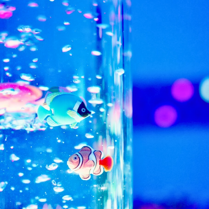 Bubble Tube Colour Changing LED Light Incl. Wall Bracket ‚Äì 183cm - SENsory Toys4U