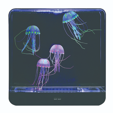 Extra Large Jelly Fish Tank ‚Äö√Ñ√∂‚àö√ë‚àö‚àÇ‚Äö√†√∂‚àö√´‚Äö√†√∂¬¨¬Æ Square - SENsory Toys4U
