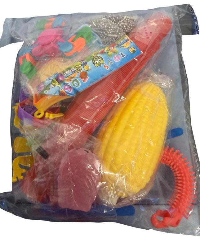 20 Piece Sensory Fidget Pack