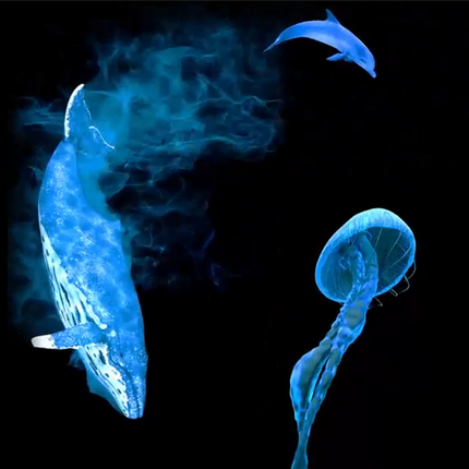 3D Hologram ‚Äì 42cm - SENsory Toys4U
