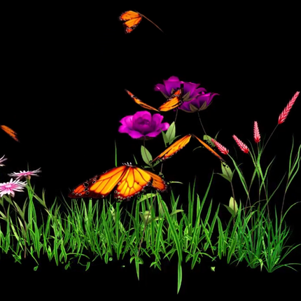 3D Hologram ‚Äì 42cm - SENsory Toys4U