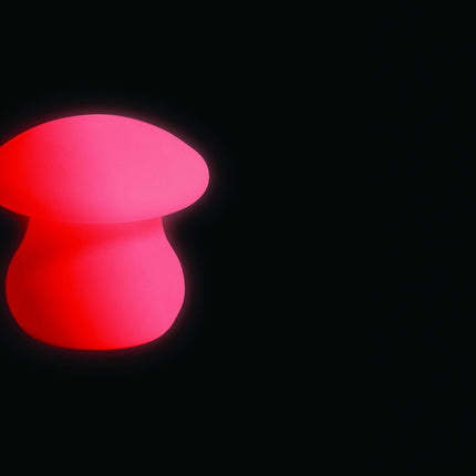 Colour changing mood Mushroom - SENsory Toys4U