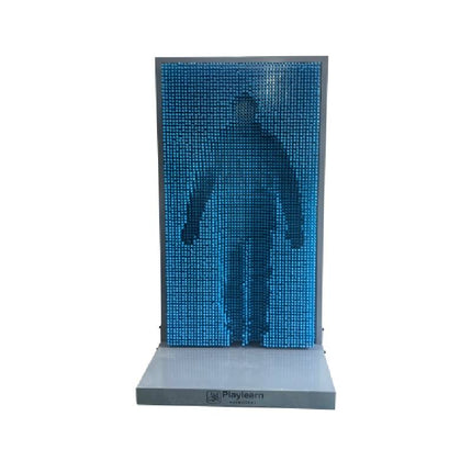 Life Size Pin Art Wall | Extra Large