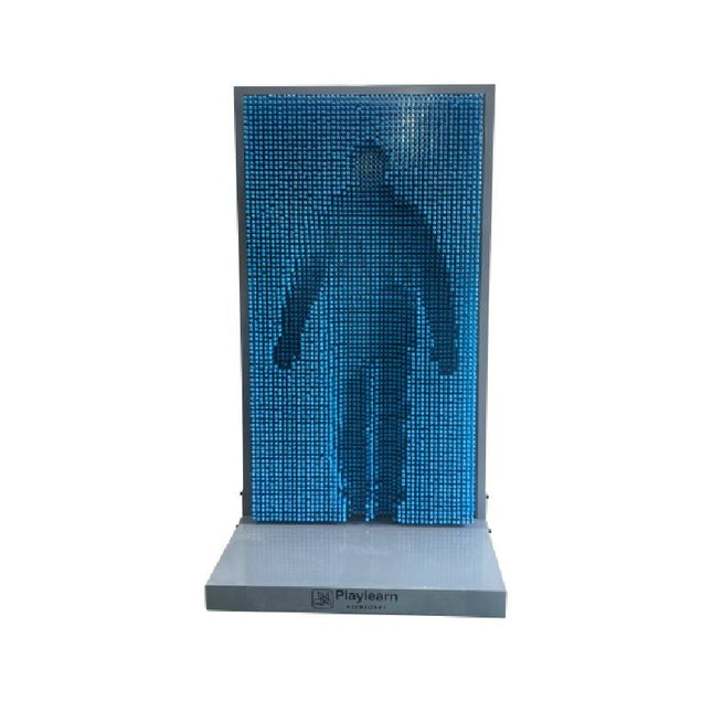 Life Size Pin Art | Large