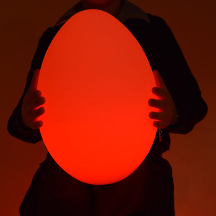 Colour changing mood Large Egg
