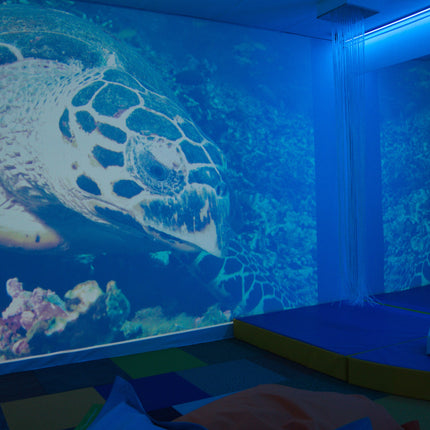 LED Colour Wall Wash