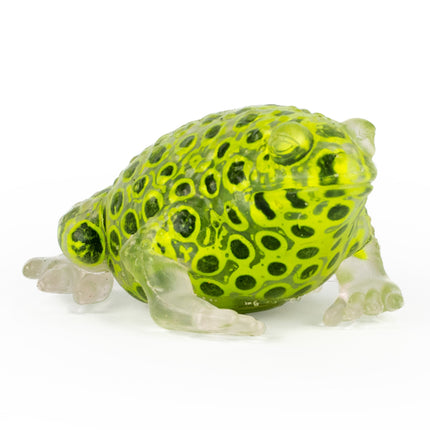 Beadz Alive Frog - SENsory Toys4U