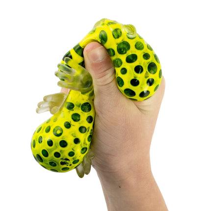 Beadz Alive Frog - SENsory Toys4U