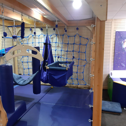 Sensory Integration Therapy SENSIS System Set