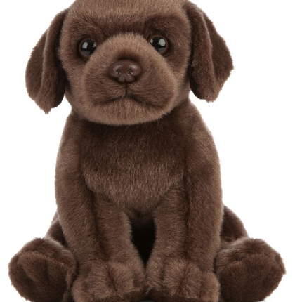 Chocolate Labrador Puppy - SENsory Toys4U