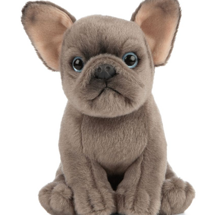 French Bulldog Puppy - SENsory Toys4U