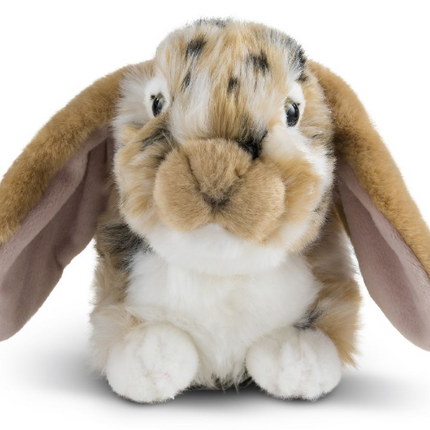 Dutch Lop Eared Rabbit Brown - SENsory Toys4U
