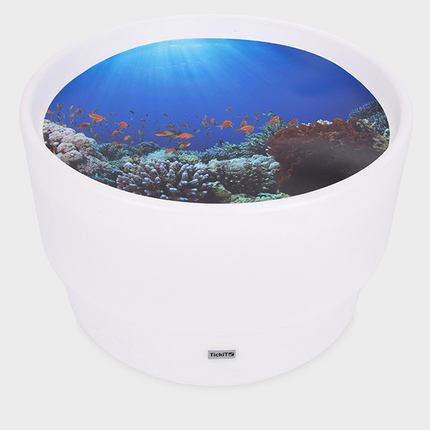 Sensory Mood Discovery Table + Under the Sea Discovery - SENsory Toys4U