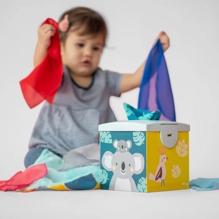 Wonder Tissue Box - SENsory Toys4U