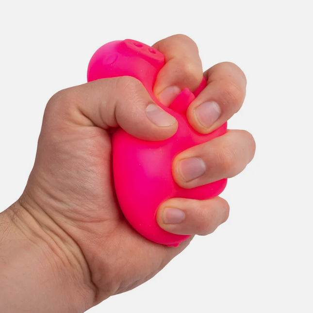 NeeDoh Dig It Pig Anxiety Fidget Stress Ball - SENsory Toys4U