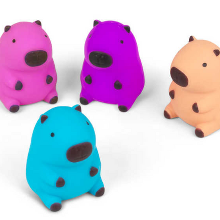 Squeezy Capybara - SENsory Toys4U