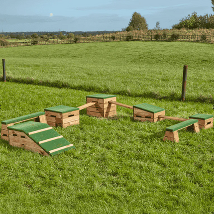 Move & Make Meadow Course Complete Set