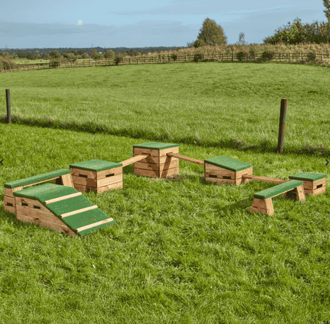 Move & Make Meadow Course Complete Set