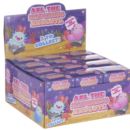 Hatching Growing Axolotl