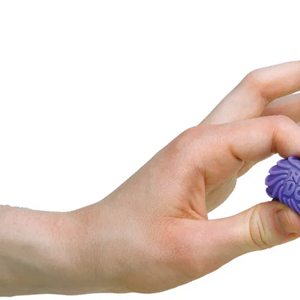 Teenie Singles Needoh Assortment