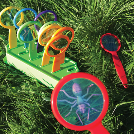 Forest Schools Urban Outdoor Learning Kit