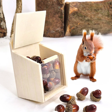 Forest School Natural Woodland Exploration Kit