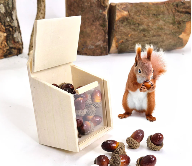 Forest School Natural Woodland Exploration Kit