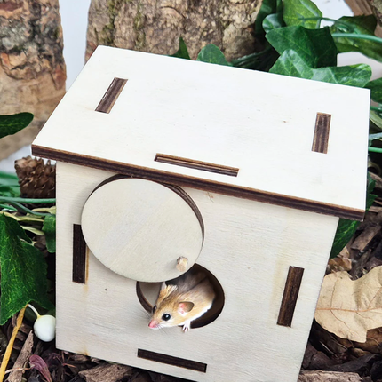 Forest School Natural Woodland Exploration Kit