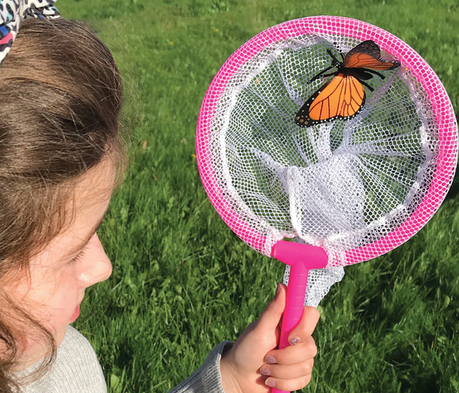 Forest School Starter Pack: Essential Tools & Resources for Outdoor Learning