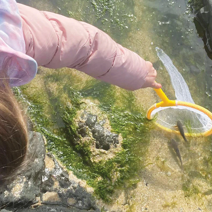 STEM Pond Investigation Kit