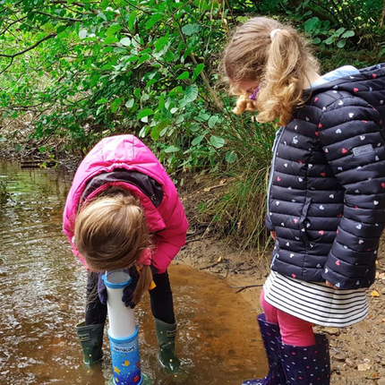 Bug and Plant Taster Pack