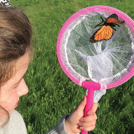 Bug and Plant Taster Pack