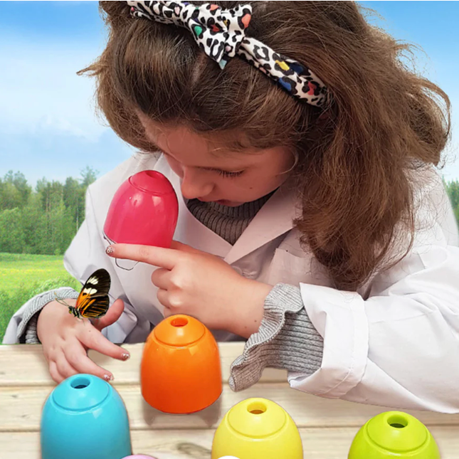 Plant and Bug Hunting Kit