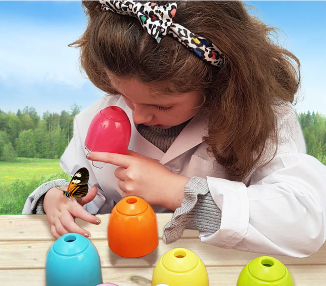 Plant and Bug Hunting Kit