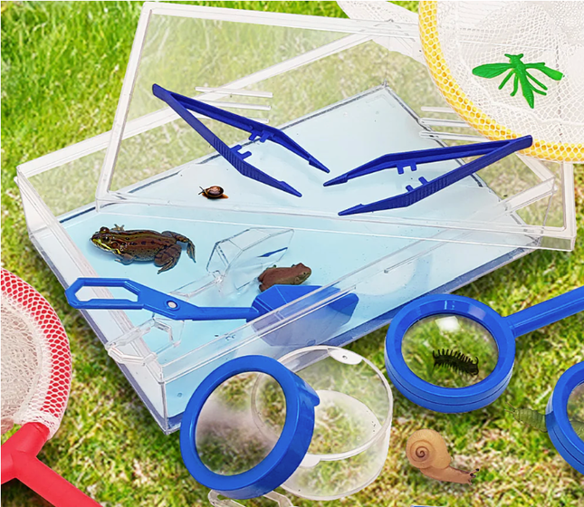 Pond Dipping Kit