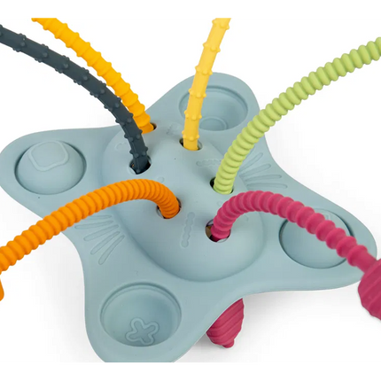 Pull, Push and Pop Toy - SENsory Toys4U