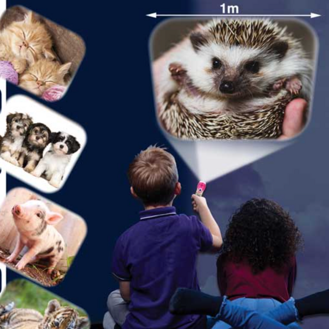 Cute & Cuddly Torch and Projector