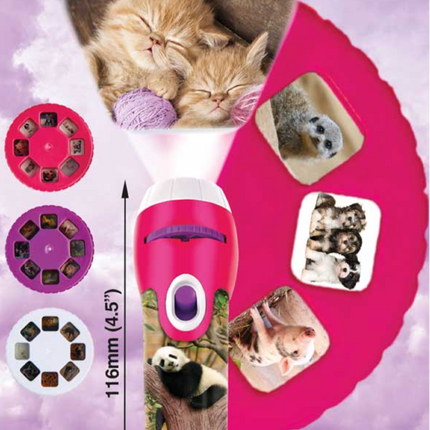 Cute & Cuddly Torch and Projector