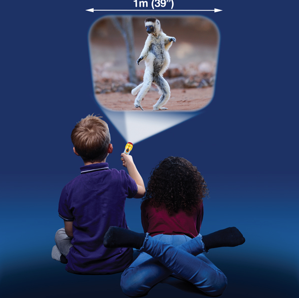 Funny Animals Torch and Projector