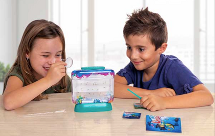 Aqua Dragons Deluxe