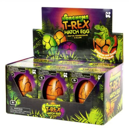 NURCHUMS Large T-Rex Hatching Eggs - SENsory Toys4U