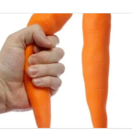 Stretchy Carrot - SENsory Toys4U